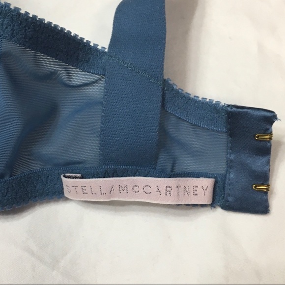 Stella McCartney: Stunning Silk Lace Bra!! - Picture 2 of 10